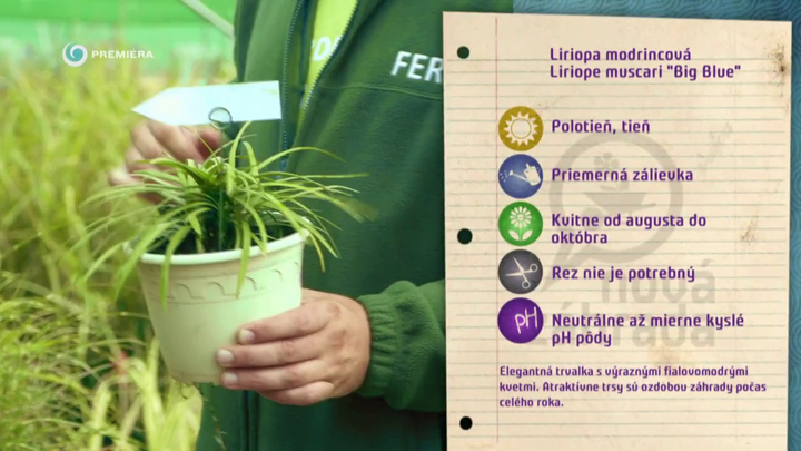 Nova zahrada - opticke zvacsenie zahrady